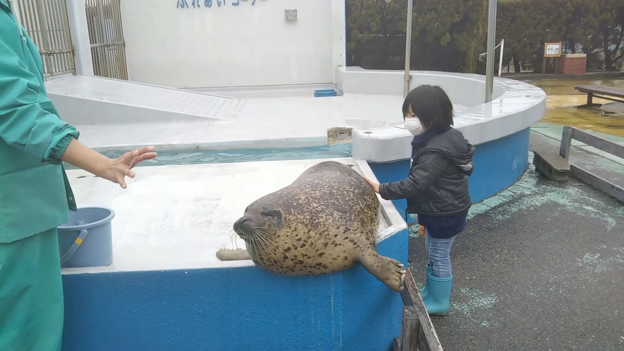 子供が楽しめる水族館 南知多ビーチランド Youtube