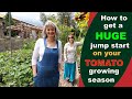Terrible Way to Start Tomatoes?
