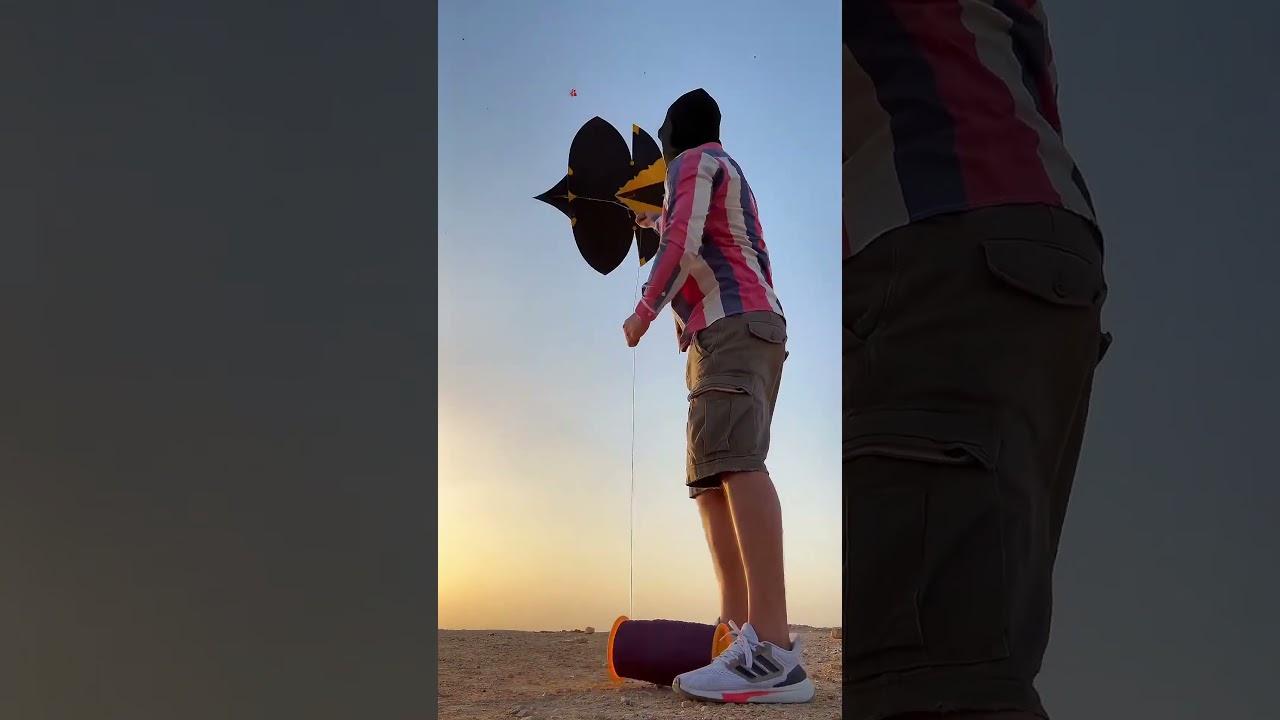 kite flying festival | kite fight | types of kite | 