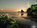 Miniature de la vidéo de la chanson Requiem "For Those We Love": Aria "In The Swamp In Secluded Recesses" (Mezzo-Soprano)