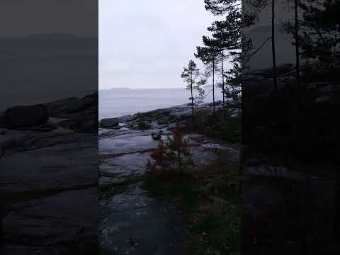 Северное Приладожье