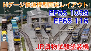LM P1【A1778】EF65-1065 (JR貨物試験塗装) 超絶クセのある製品