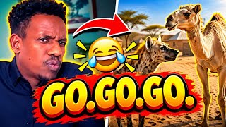 Qosol iyo QARAXO 😂  somali 🇸🇴 edited | prime geel. go.gogo.😂