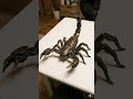 Transformation robotic scarpio #transformation  #transformation ai #3d #robot #ai #cartoon