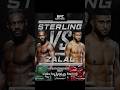 UFC Fight Night Zalal vs Sterling Full Card Prediction picks! Main event #ufc #mma