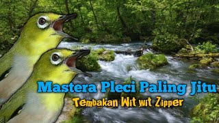 MASTERAN PLECI WIT WIT ZIPPER
