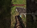 Der Racheengel - unser Weg zum Prime Rex  #theisle #tyrannosaurusrex