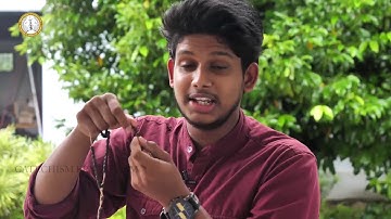 DOMUSCAT | CLASS 1 | CHAPTER 8 | PART 2 | ERNAKULAM-ANGAMALY ARCHDIOCESE/ SUNDAY SCHOOL CATECHISM