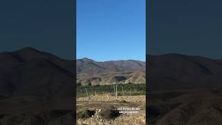 FREIRINA #chile #freirina #huasco #nortedechile #desert #desierto #travel #viajar #viagem #trip #top