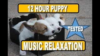 12 Hour Puppy Relaxation Musical Calming to Help Wean Your Little Guy by The Dog Empire-Dog Relaxation Music 19,044 views 6 years ago 12 hours
