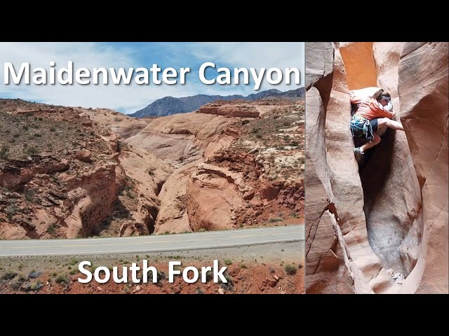 Maidenwater Canyon (South  Fork), North Wash, Utah class=