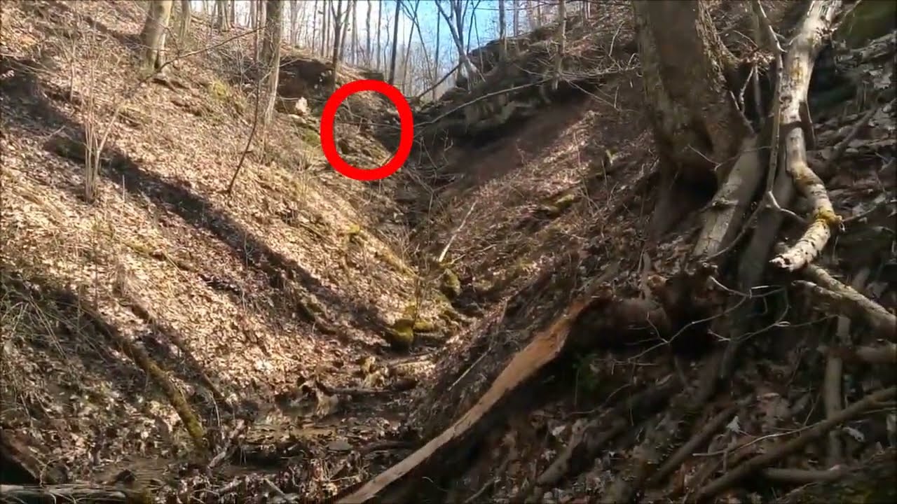 BIGFOOT PEEKING FROM RECESS CAVE