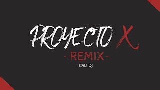 PROYECTO X REMIX - ALETEO FIESTERO - CALI DJ