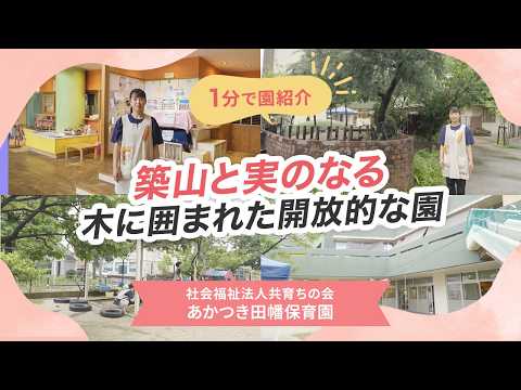 動画サムネイル