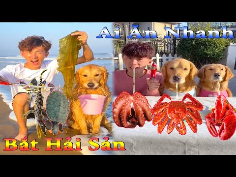 Thú Cưng TV | Dương KC Pets | Gia Đình Gâu Đần #13 | Chó thông minh vui | nhộn funny cute smart dog