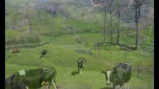 VALLE ALTO DEL RIO MIERA