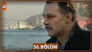 Kanatsız Kuşlar 36. Bölüm