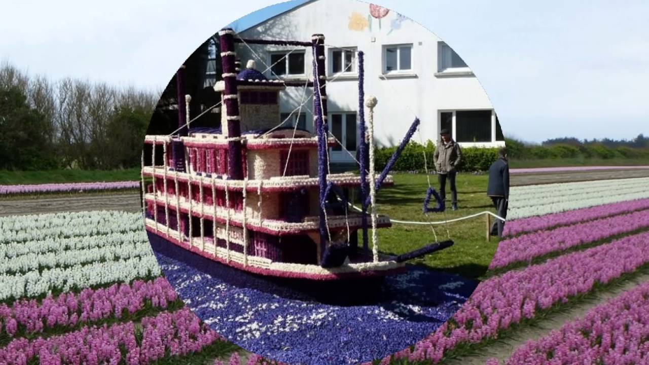 PLOMEUR - La Torche - 2013-2015