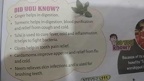 Class 2. Environmental Studies. Lesson 16. PLANTS