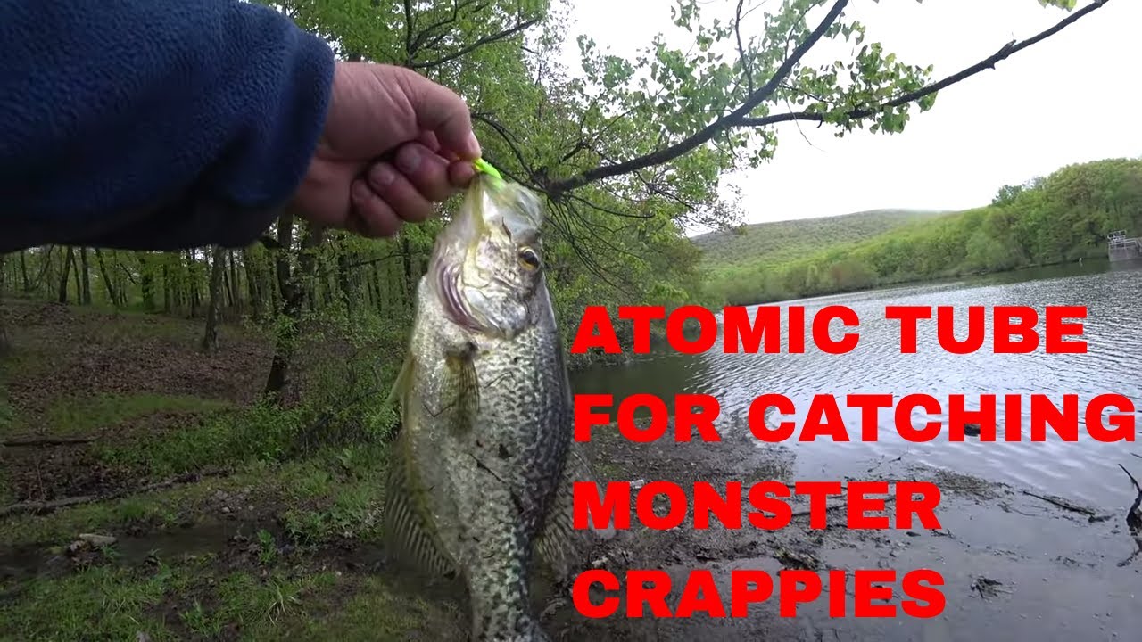 HOW TO CATCH CRAPPIES WITH A BERKLEY POWERBAIT ATOMIC TUBE 