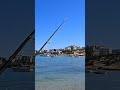 Νέο βίντεο SOON 🔔😮#fy #fishing #psarema #casting #spining #fyp #ψάρεμα #ψαρεμα #new #fish #hobby