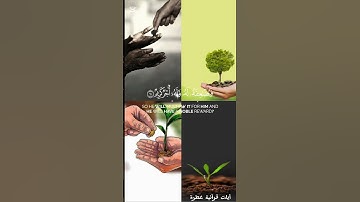 من مستعد للإنفاق ليكافئه الله على ذلك؟ 🤍         تلاوة خاشعة بصوت ياسر الدوسري من سورة الحديد