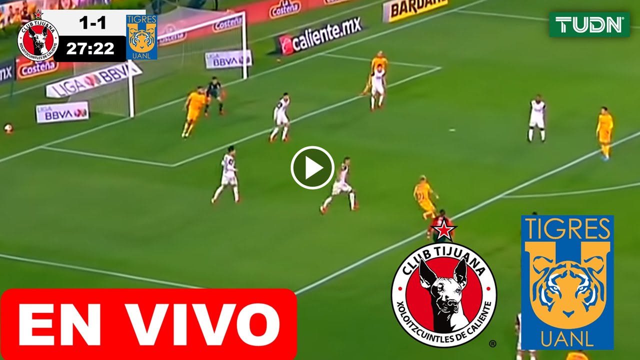 Tijuana vs Tigres EN VIVO donde ver y a que hora juega xolos vs felinos ...