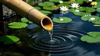 Serene Bamboo Water & Gentle Piano | Relaxing Echo for Calm, Focus & Sleep