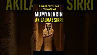 Bunu Biliyormuydun ?