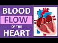 Blood Flow Through the Heart | Heart Anatomy and Physiology NCLEX