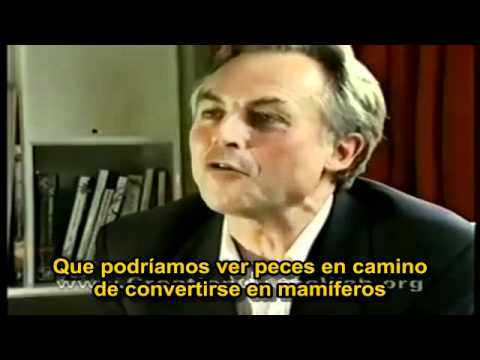 E adesso cosa rispondo? chi mi aiuta? Richard Dawkins.