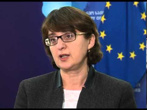 შეხვედრა ევროპის საბჭოს კომისართან