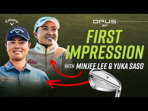 5 Majors Between Them 👀