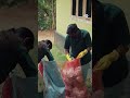 भारत के गांव दिखा रहे हरित बदलाव की राह [India’s green village revolution]