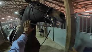 VLOGMAS - DAY 12 // GoPro Horse Show Raws!