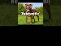 Why Owners Talk Nice of Their Dogs