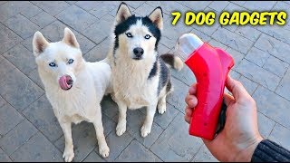 7 Dog Gadgets Put to the Test  Part 6