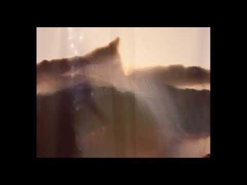 Isabel Koslowsky - Dreamscapes Of The Natural World - Becoming One Part I  - Meditative Short Film