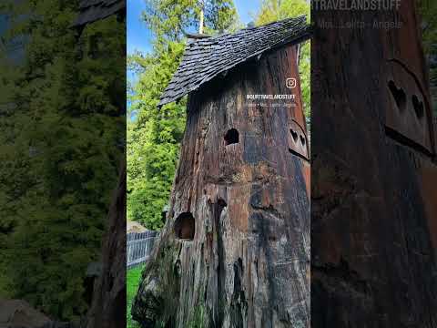 Video: Humboldt Redwoods Eyalet Parkı: Eksiksiz Kılavuz