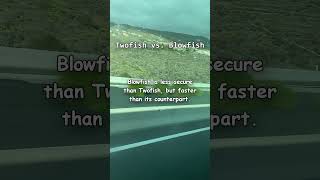 Twofish vs. Blowfish Explained #security