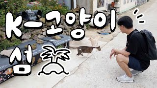 I went to Ssukseom Island, a cat island in Korea, where we fill each other's presence.