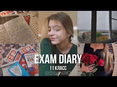 exam diary: будни в 11 классе, мои мысли, подготовка к ЕГЭ по рус, ист и общ, сдача ГТО на золото