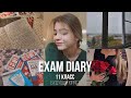 exam diary: будни в 11 классе, мои мысли, подготовка к ЕГЭ по рус, ист и общ, сдача ГТО на золото