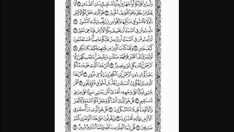 سورة الملك بصوت القارئ الشيخ واليد الدليمي