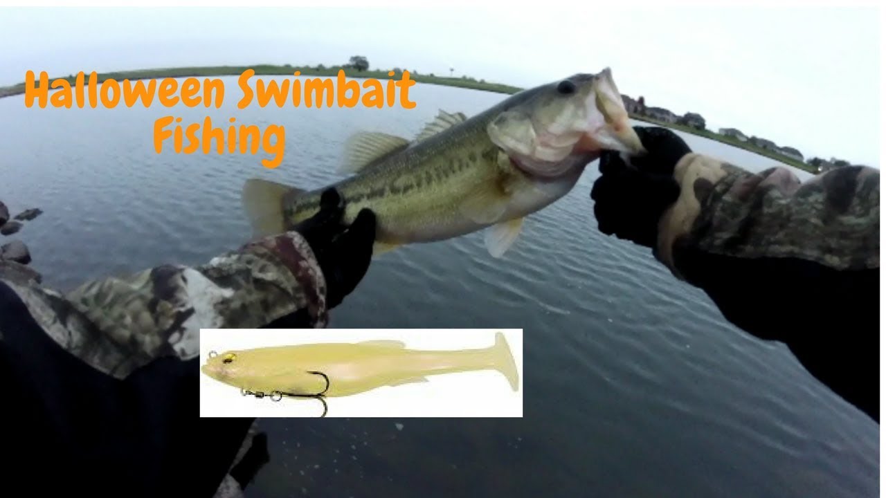 Halloween Fishing! Big Swimbaits and Big Bass!