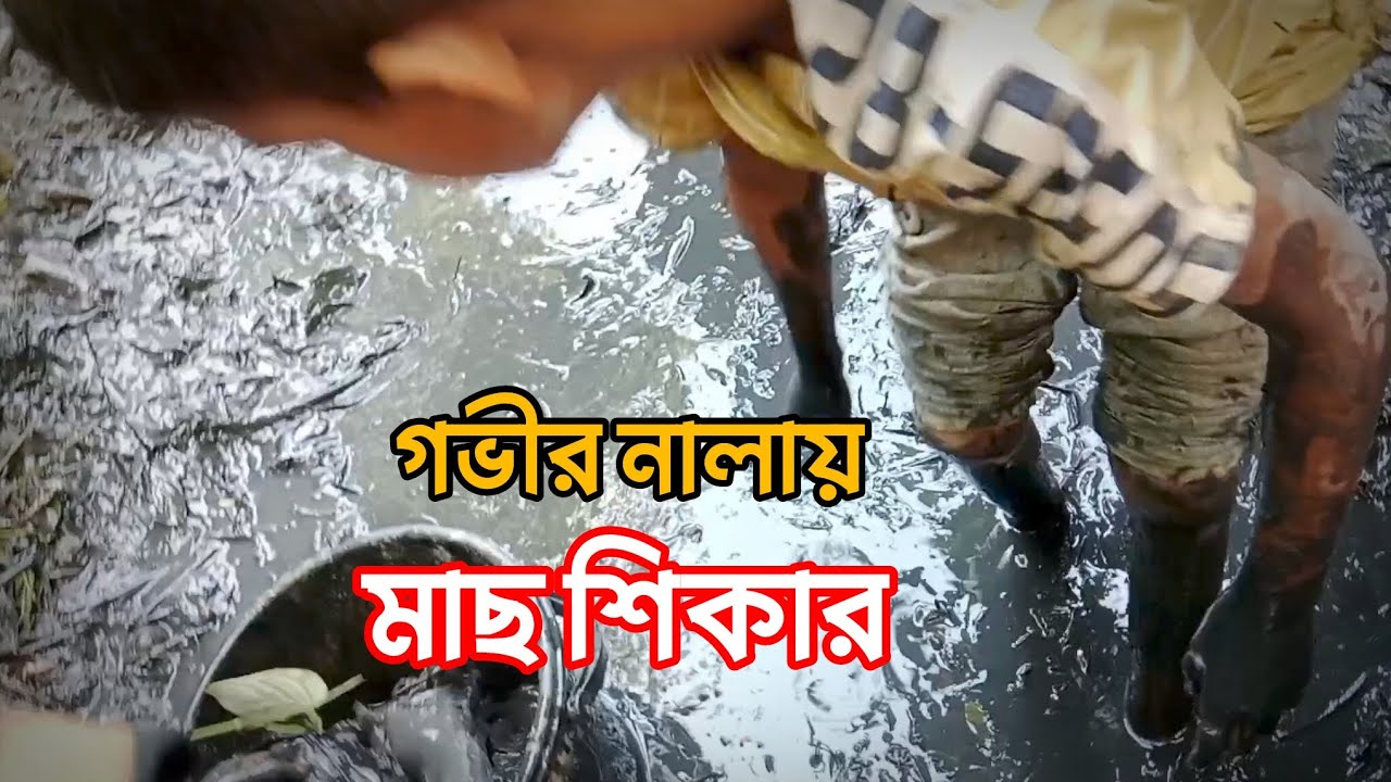 গভীর নালায় মাছ শিকার Fishing in a Deep Canal 🎣