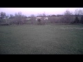 V929 + 808 #16 11/14/2012