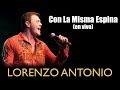 Lorenzo antonio  con la misma espina en vivo