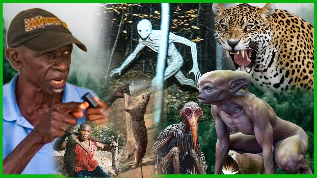 Over 60 Yrs Experience Of Midnight Hunting In The W!tches Forest~Agya Obeng Shares Deädly Encounters