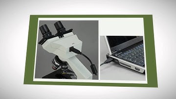 OMAX 40X-2000X Digital Lab LED-amazon